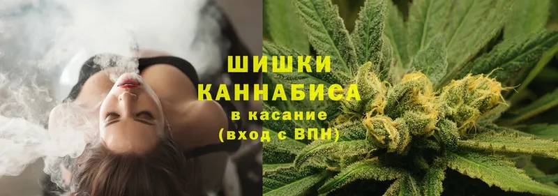 Канабис план  Звенигород 